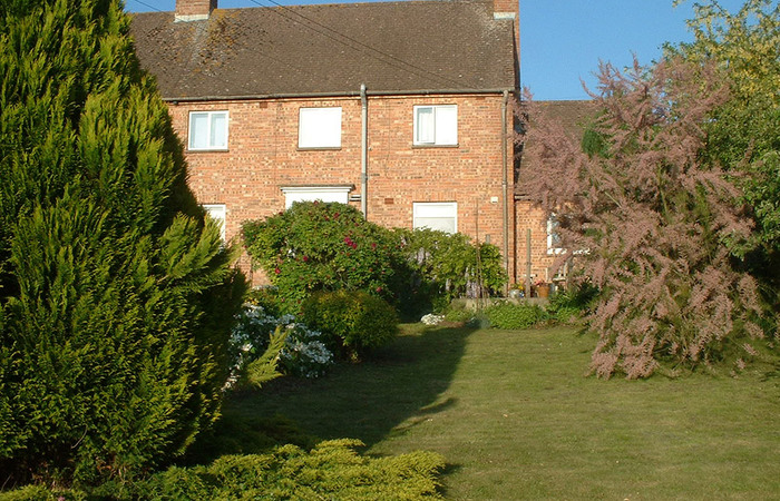 An image of 'Bangers Eleven'