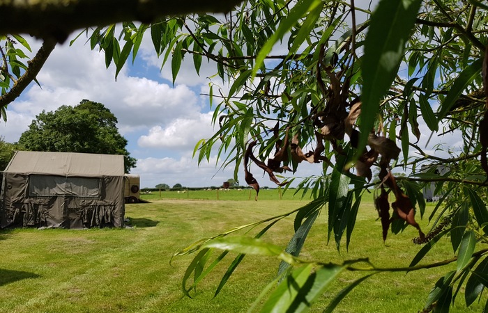 An image of 'Army Field'